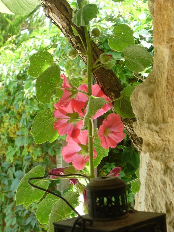 Residence Beausejour Saint-Cyprien (Dordogne) Quarto foto